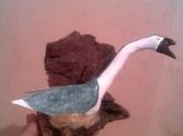 Cisne no Ninho