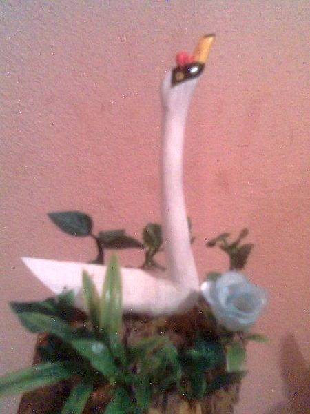 Cisne Branco